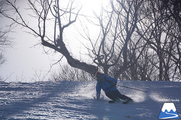 DYNASTAR SKI series Test Ride Days 2017 in ニセコユナイテッド【Day.2】～ニセコグラン・ヒラフ～